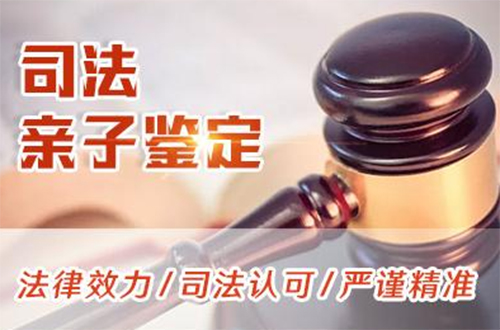和田司法DNA鉴定哪里能做,和田司法亲子鉴定需要什么材料和流程